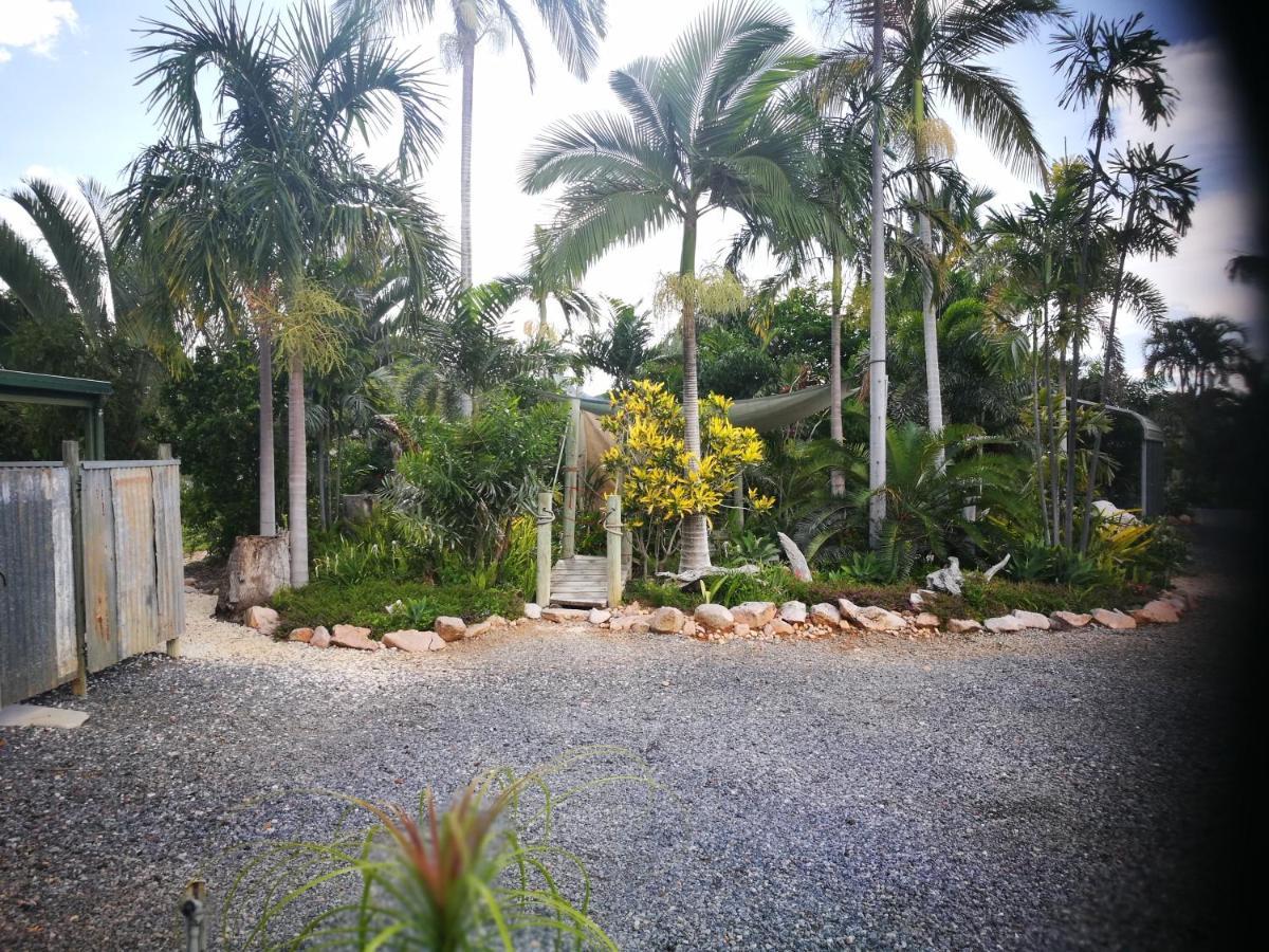 Chillagoe Cabins And Tours Ngoại thất bức ảnh